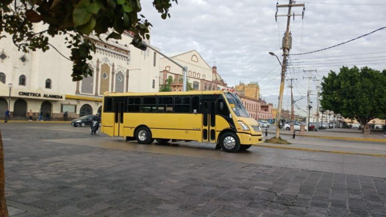 El 30% del transporte público necesita renovación