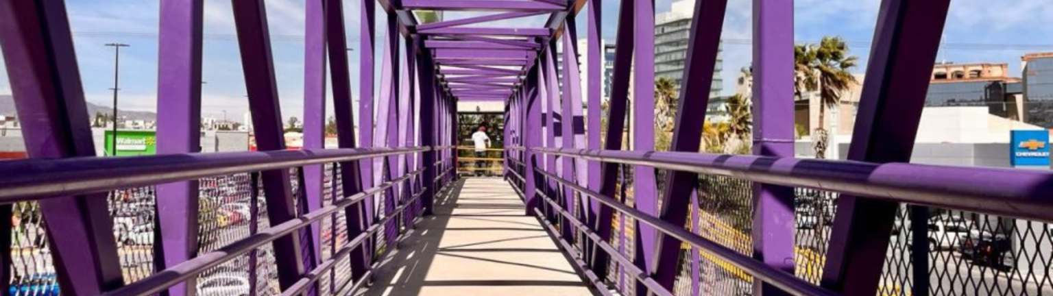 Puentes peatonales dañados y en desuso son resultado de la visión “coche centrista”: experta