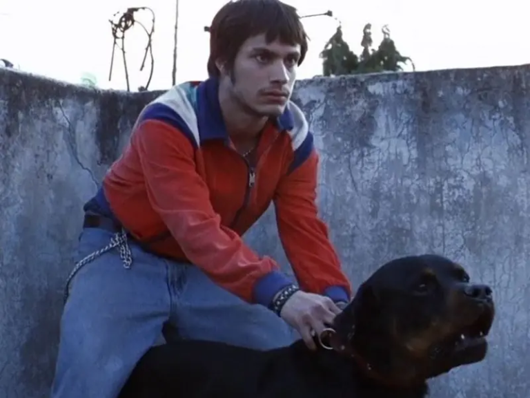 “Amores Perros” regresa al Festival de Cannes con proyección especial por su 25 aniversario