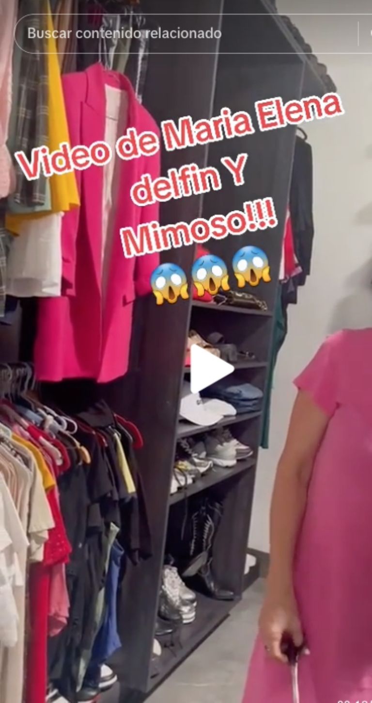pelea mimoso