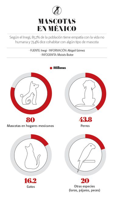 Mascotas en México. (Especial)