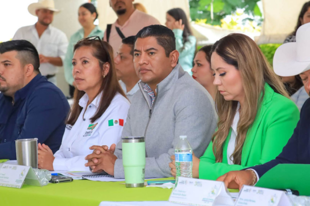 Alcalde propone que venta de motos incluya dos cascos