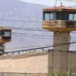Centros penitenciarios de SLP suman 52 espacios disponibles