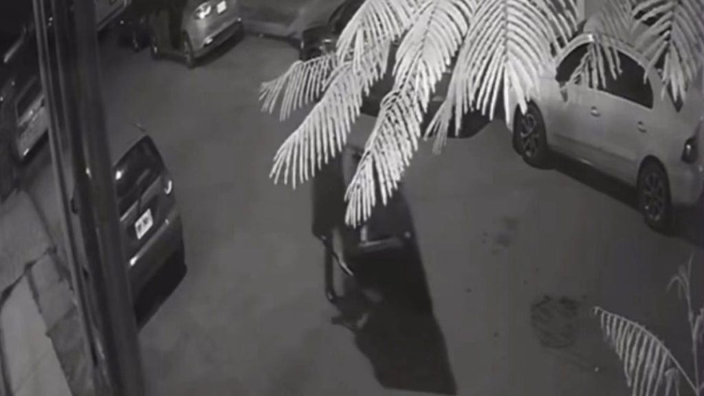 Dictan sentencia máxima a adolescente por feminicidio en Monterrey