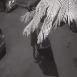 Dictan sentencia máxima a adolescente por feminicidio en Monterrey