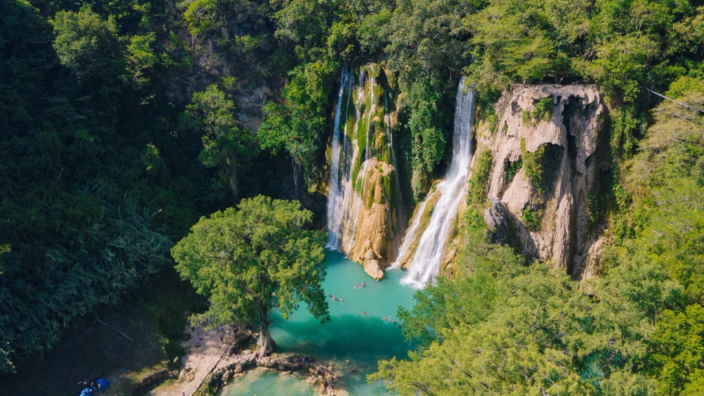 OIM convoca al sector turístico de la Huasteca a sumarse contra el