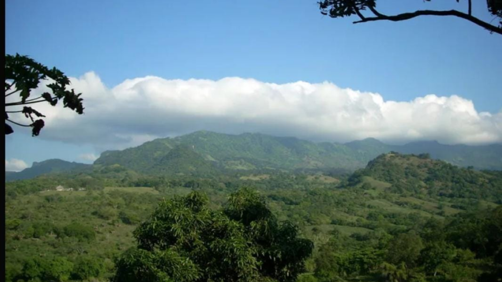 Pierde la Sierra Madre 30% de sus bosques en la Huasteca