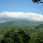 Pierde la Sierra Madre 30% de sus bosques en la Huasteca