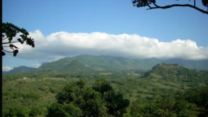 Pierde la Sierra Madre 30% de sus bosques en la Huasteca