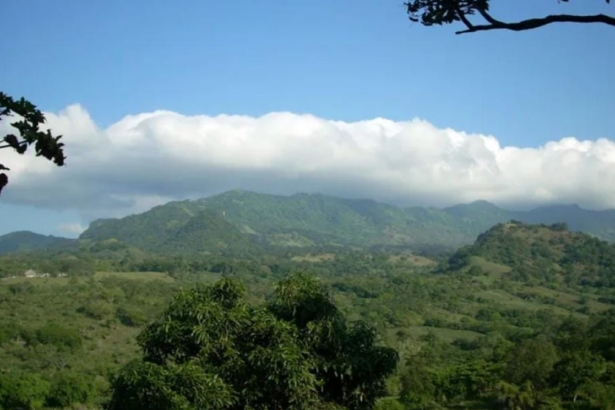 Pierde la Sierra Madre 30% de sus bosques en la Huasteca