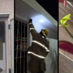 Retiran seis panales de avispas en Villa de Pozos